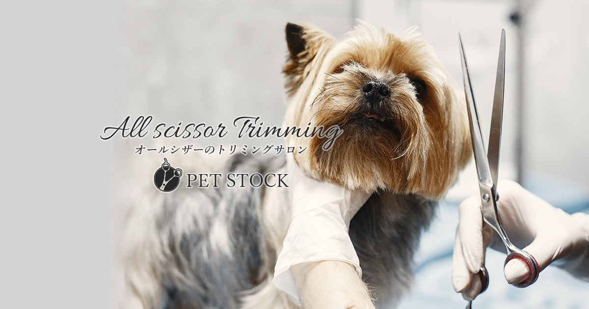PET STOCKの外観